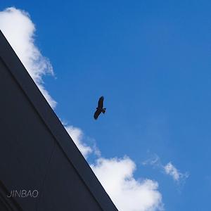 16位妓女撒尿视频大全
