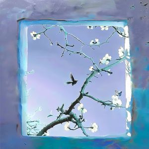 伊人久久久久久久久久
