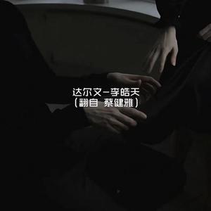 成人在线免费视频观看
